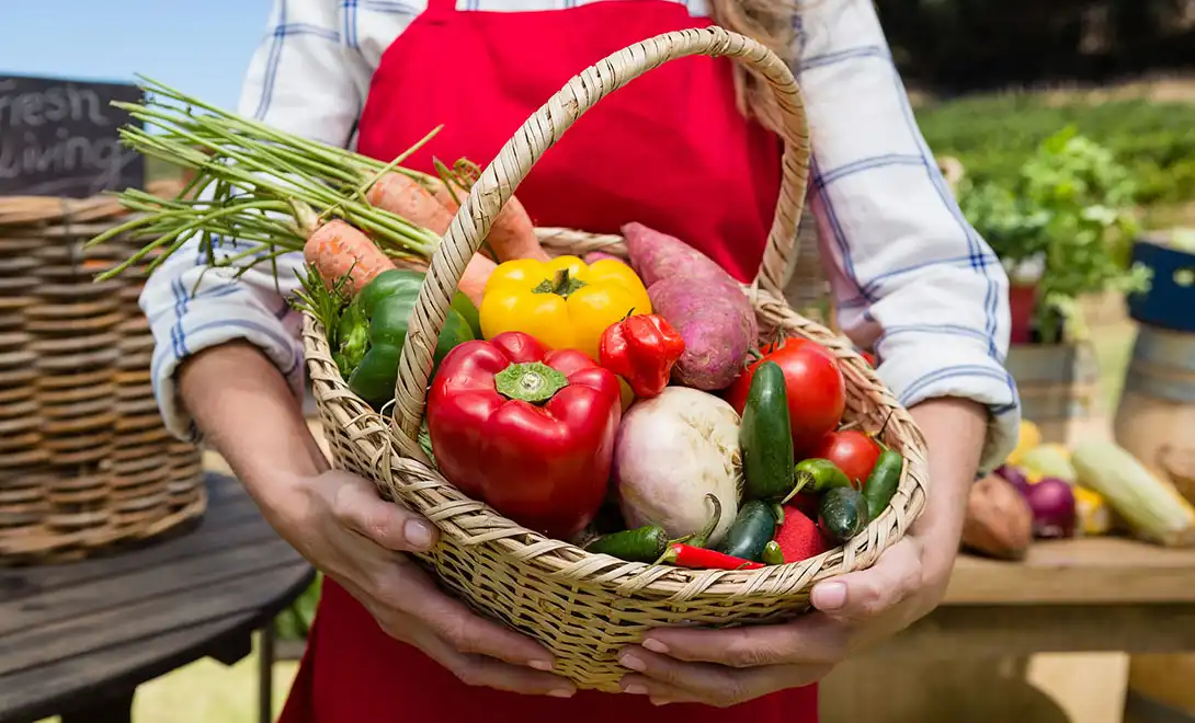 Boost Crop Resilience with Nucleotides: A Natural Strategy for Stress Recovery